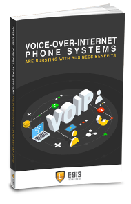 EgisTechnologies VoIP with Business eBook Cover